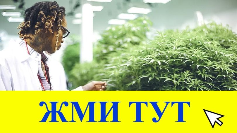 Купить наркотики в Нальчике